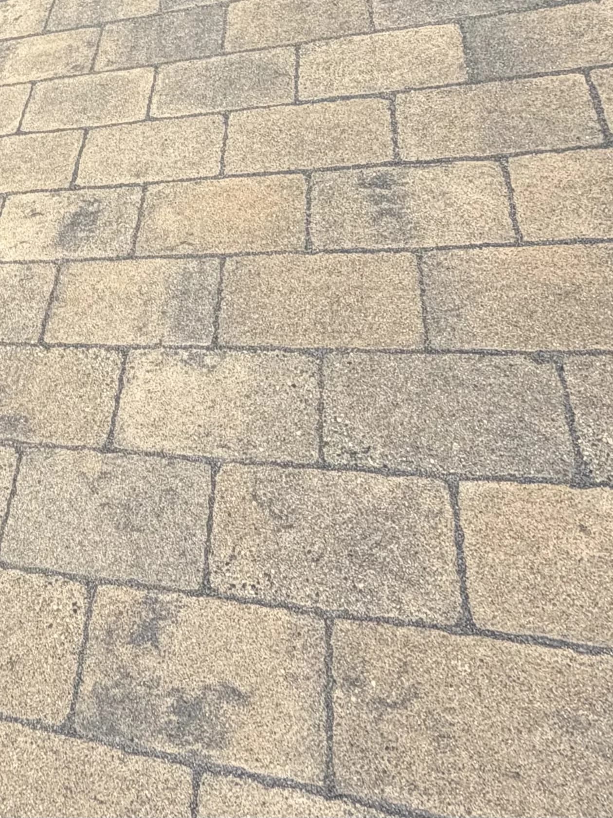 The same paver surface after restoration and sealing, the joints filled and the stone warm again