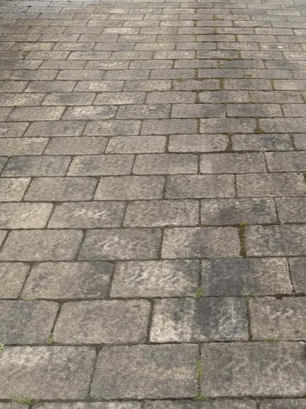 Close view of paver joints, the surface grey and organic growth through the open joints